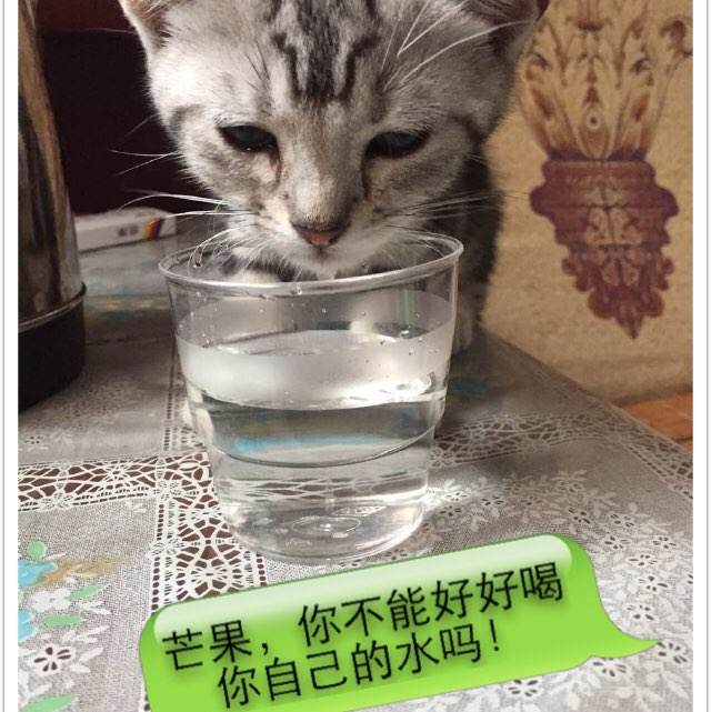 奈良県立医科大学diploma购买